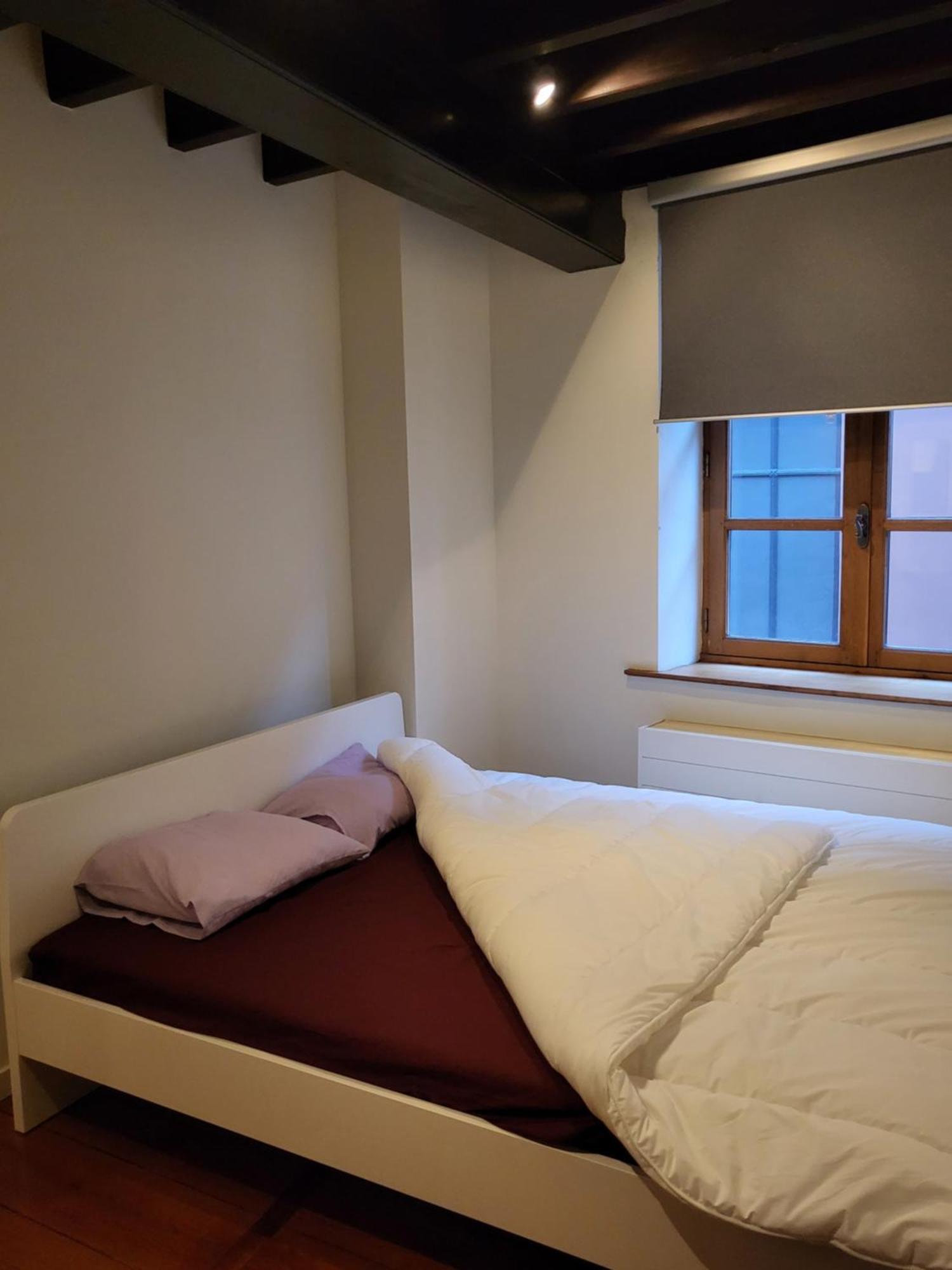 Viktoria Hostel Antwerpen Rum bild